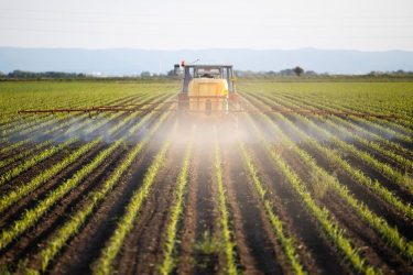 Permetező traktor fiatal növényállományban