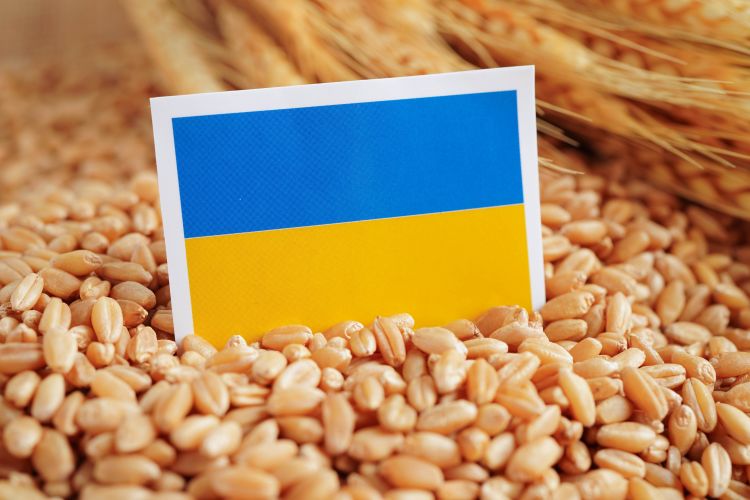 Ukrán gabonaügy: tiltás, jogi rés és piaci matek