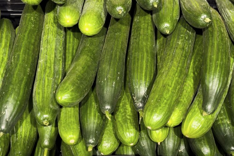 Friss kígyóuborka kínálat