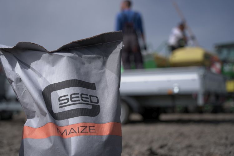G-SEED vetőmagok
