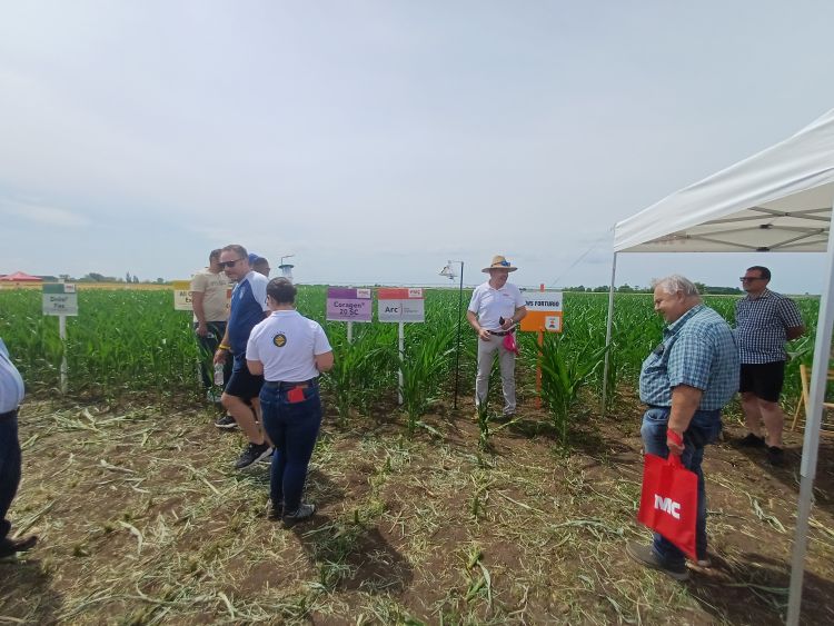 Kukorica növényvédelem az FMC-Agro bemutatón