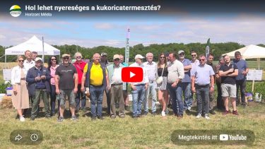 Mezőfalván a Kukorica Kör Egyesület szakmai napján