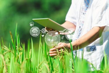 Digitális agrárium a gyakorlatban.