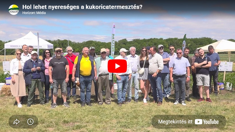 Hol lehet nyereséges a kukoricatermesztés?
