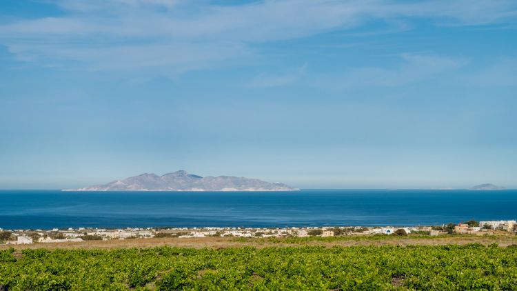 Santorini szőlői a vízhiányban