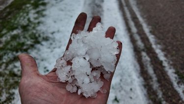 Jégverés nyomai a kézben