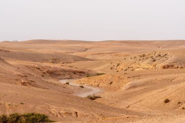 Egyiptomi Új Delta projekt sivatagban