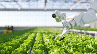Robot dolgozik a mezőgazdaságban