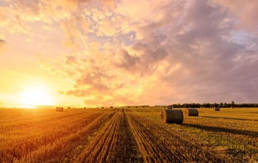 Forró hétvégi agráridőjárás