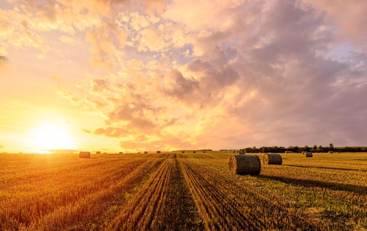Forró hétvégi agráridőjárás