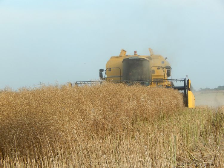 New Holland TX kombájn