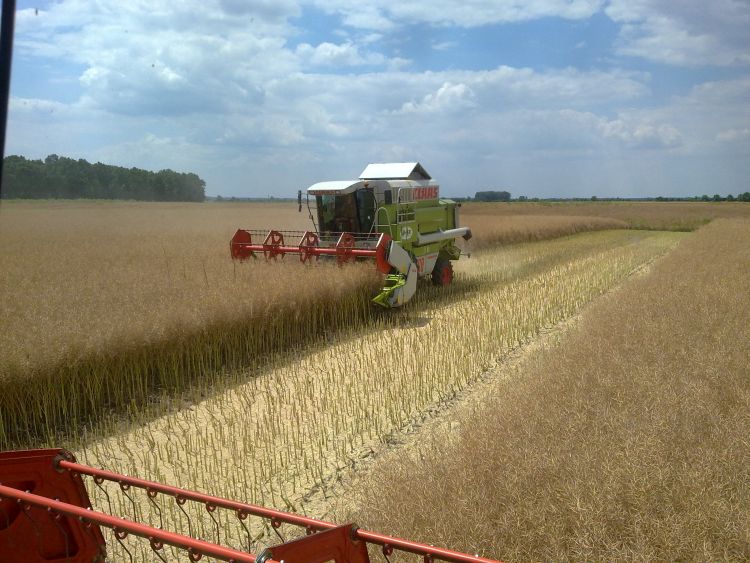 Claas Dominator Mega 208 kombájn