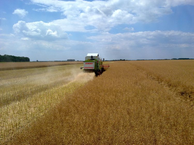 Claas Dominator Mega 208 kombájn