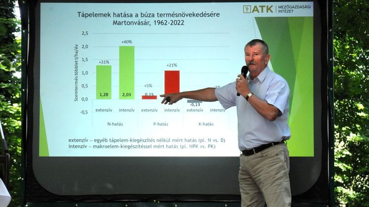 Búzatermesztés jövője