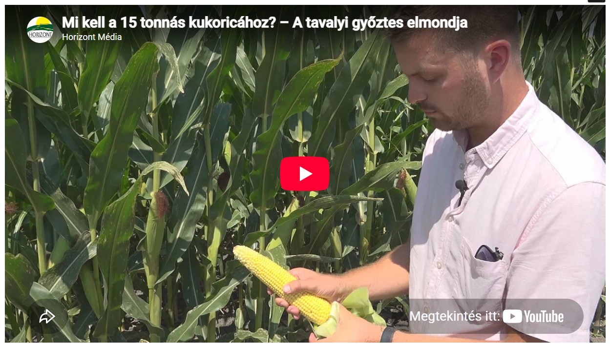 Mi kell a 15 tonnás kukoricához? – A tavalyi győztes elmondja