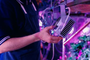 Intelligens LED világítás üvegházban