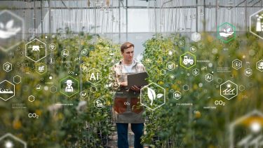 Mesterséges intelligencia az üvegházban